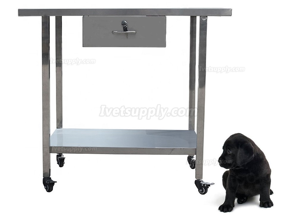 Veterinary Examination Table Pet Treatment Table WT-25 With Drawer (Stainless Steel Material)