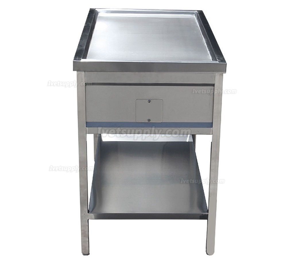 Veterinary Constant Temperature Surgery Table WT-27 Pet Vet Examination Table With Weighing Scale