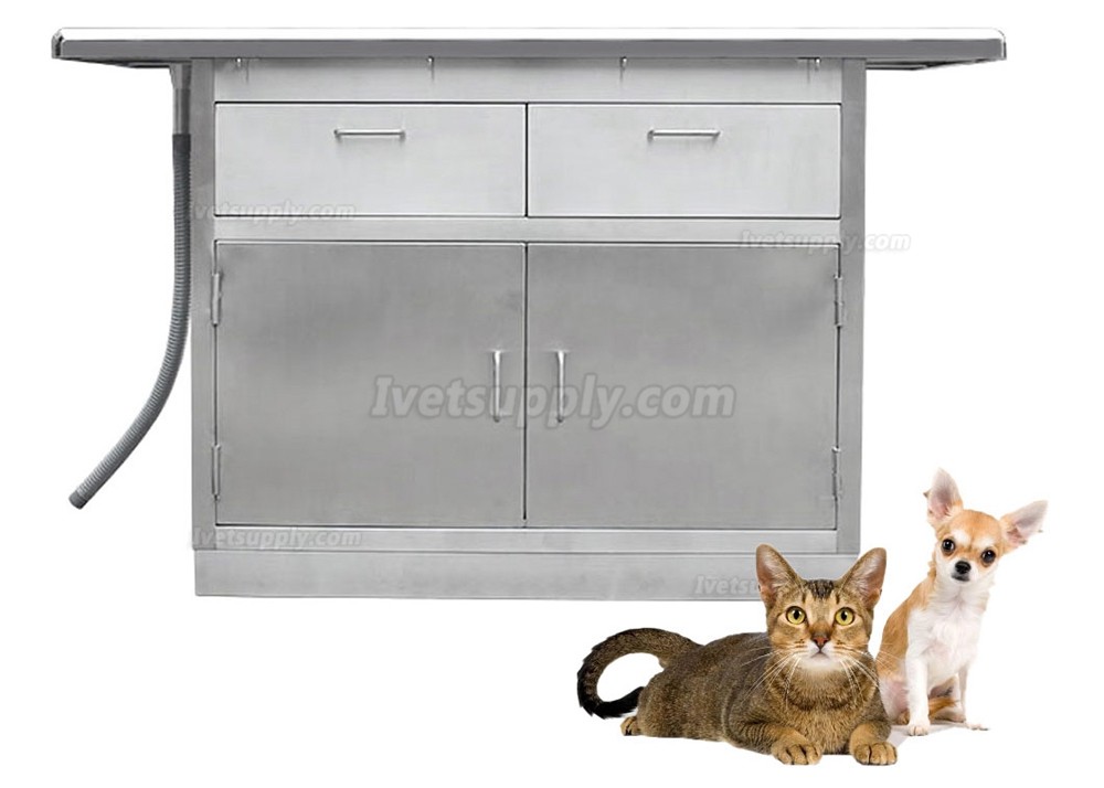 Veterinary stainless steel examination treatment table WT-32 with drawers and cabinets
