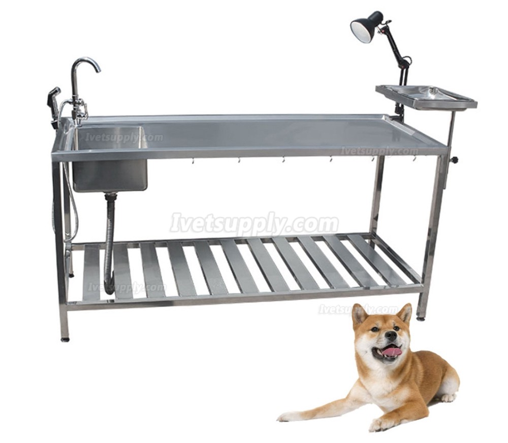 Veterinary Stainless Steel Anatomy Table Pet Animal Dissection Table WT-38-1