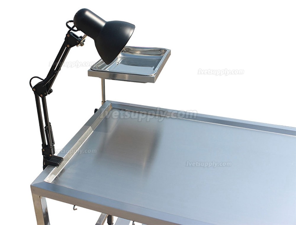 Veterinary Stainless Steel Anatomy Table Pet Animal Dissection Table WT-38-1