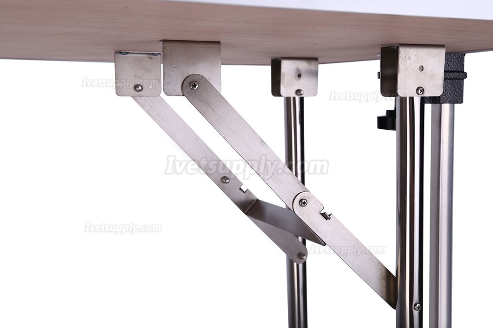 Portable Stainless Steel Detachable Lifting Pet Beauty Table WT-51