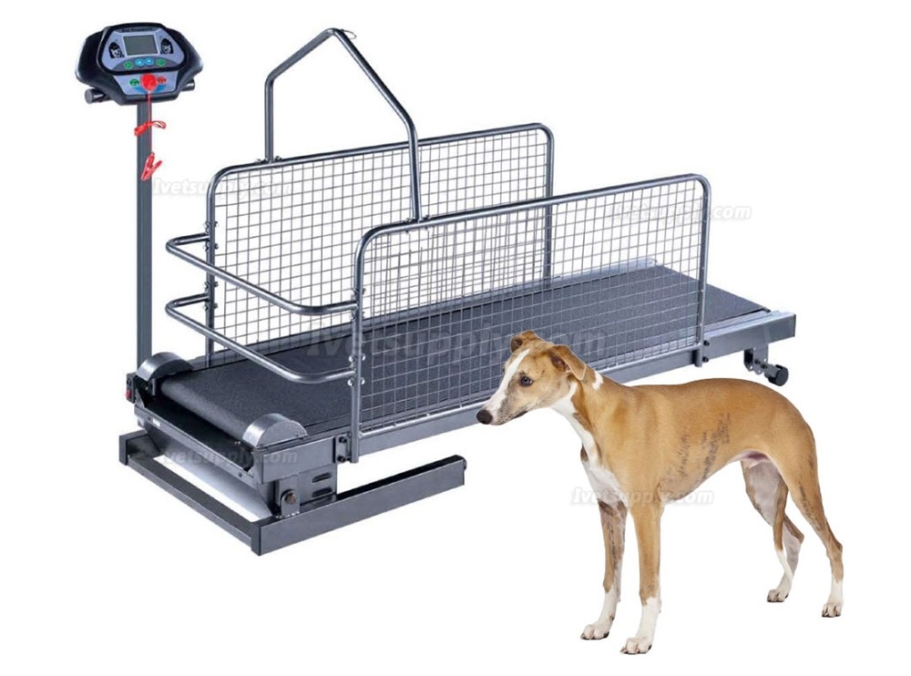 YUSHENG YS-C300F Home Collapsible Electric Dog Treadmill Running Machine