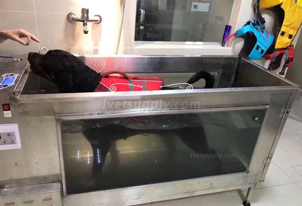 Electric Multi Function Dog Underwater Treadmil Canine Underwater Treadmill WT-C380