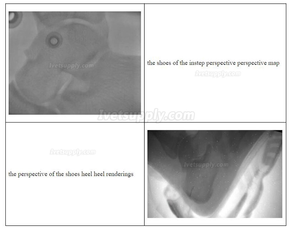 Veterinary Portable X-ray Machine Vet Xray Machine