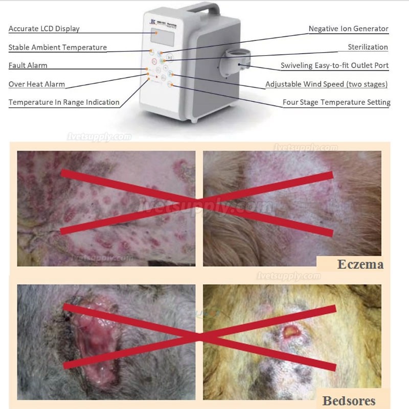 Dongbang Veterinary Warm System Automatic Air Warming System for Animal Surgery