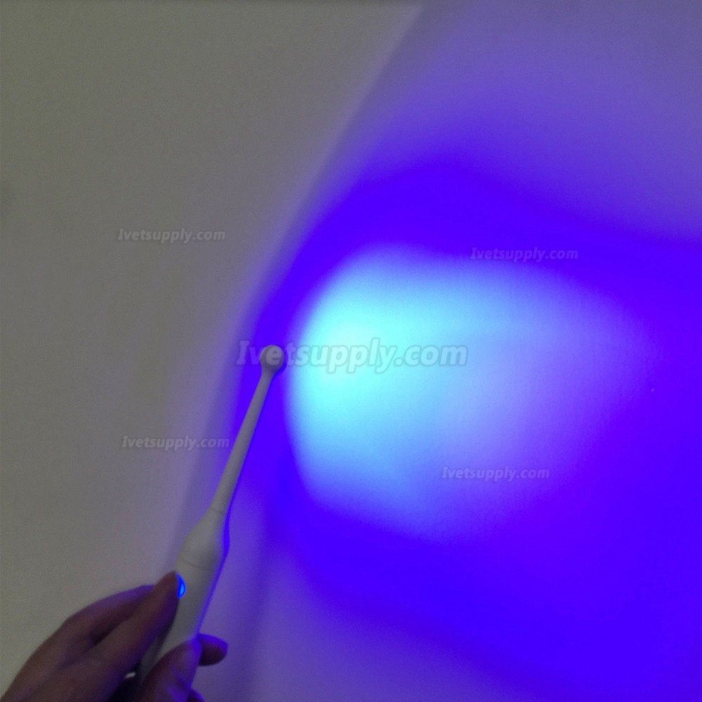 3H Xlite5 Veterinary Dental High Power LED Curing Light 2300mW/cm² 3H Xlite5 Veterinary Dental High Power LED Curing Light 2300mW/cm²