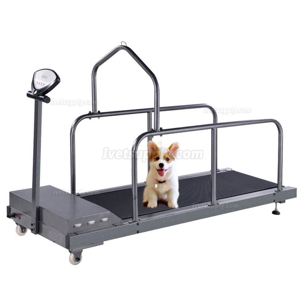 YUSHENG YS-C300 Pet Dog Treadmill Walking Machine