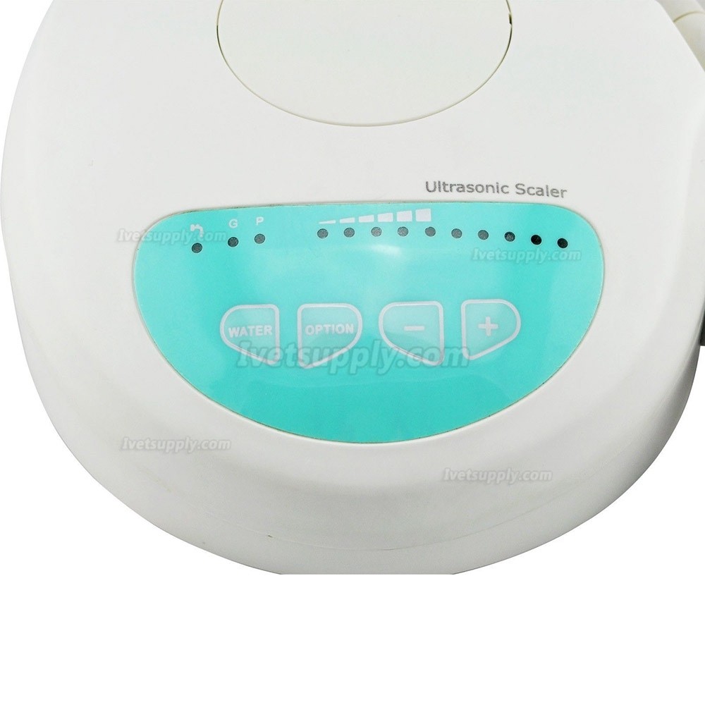 Veterinary Ultrasonic Dental Scaler Handpiece Tips Compatible EMS Woodpecker