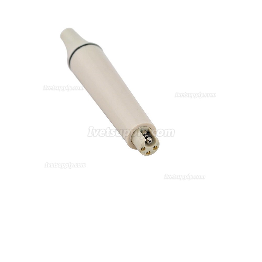 Veterinary Ultrasonic Dental Scaler Handpiece Tips Compatible EMS Woodpecker